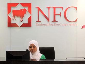 nfc office story