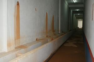 fungus at macc, melaka new building