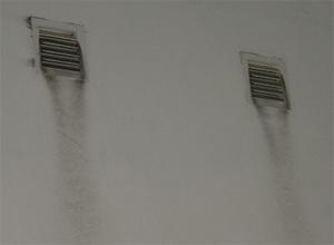 fungus at macc, melaka new building