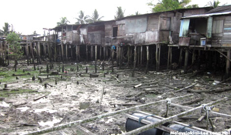 Willing to destroy mangrove forests for the sake of development?