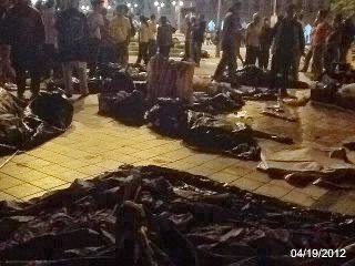 Thugs attack students in Dataran tents destroyed
