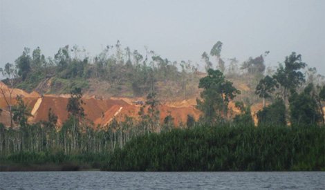 COMMENT | Pahang government's role in killing off Tasek Chini