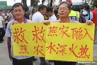 bird nest farmer protest against nur omar 150912 06