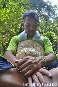 himpunan hijau green walk wong tack