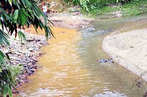 Gua Musang mixed river