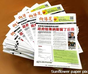 sunflower paper