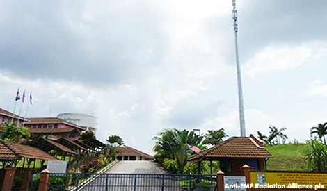 Need to explain 99pct reduction given to YTL for 1BRIS rental charges