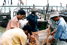 fishermens nelayan
