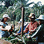 farmers thumbnail