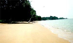 coastline 260906 beach