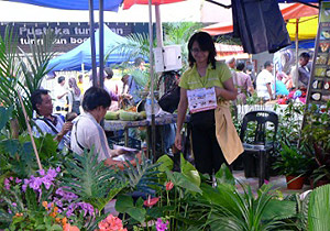 kota kinabalu gaya street market 210413