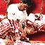 pork pig seller vendors