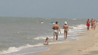 Beach Crowd