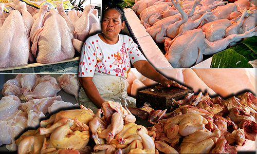 Usah percaya viral ayam disembelih tak ikut syarak - Jakim