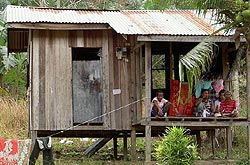 batu talam polling eve 270107 orang asli house