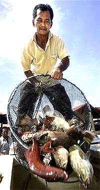 fisherman nelayan 250107 caught fish in net