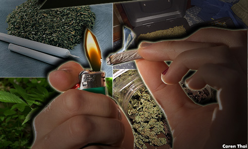 Cops detain two men, seize ganja worth RM540,000