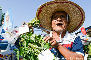 COMMENT | Is our academia going 'kangkong'?