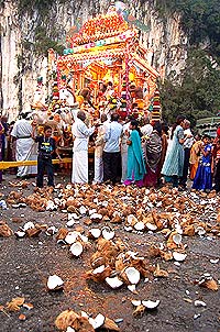 thaipusam 120207 coconut