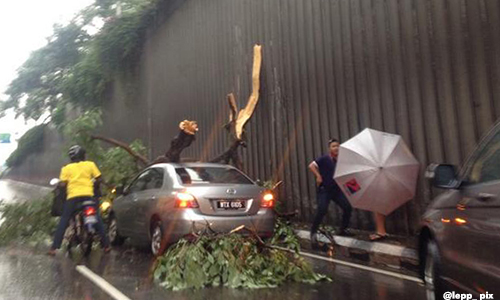 Ribut, hujan lebat di KL akibatkan pokok tumbang