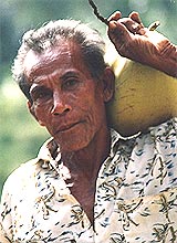 senior citizen 010307 active