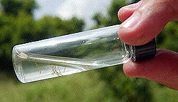 dengue 120105 larve in a bottle