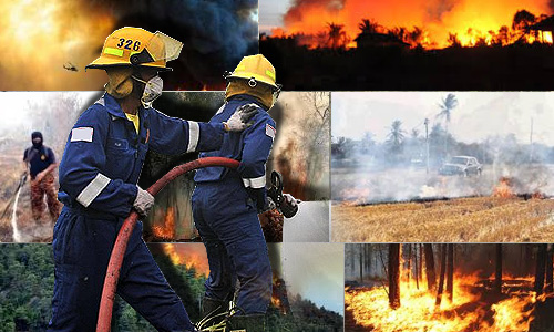 80 hektar hutan simpan di Pekan terbakar