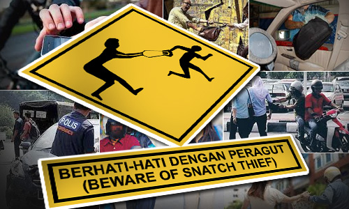 Woman nabs truncheon-wielding snatch thief