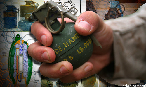 Police hunt for foreign national over ‘hand grenade’