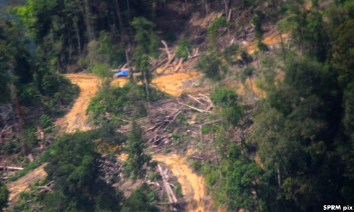Husam queries Kelantan’s weak illegal logging enforcement