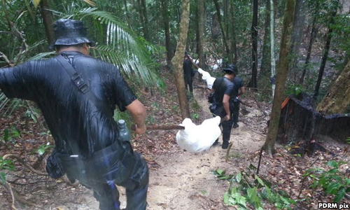 Wang kelian