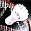 badminton and shuttlecock