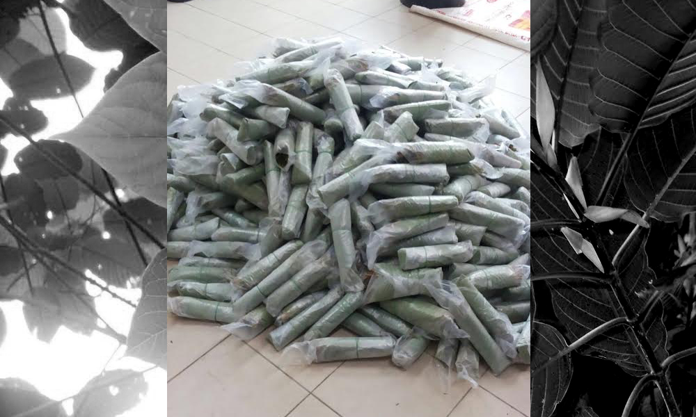Operasi bersama mampu banteras penyeludupan daun ketum