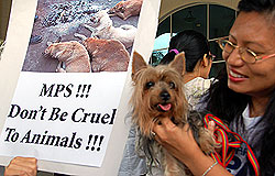 mps dog hunt protest 220907 doggie