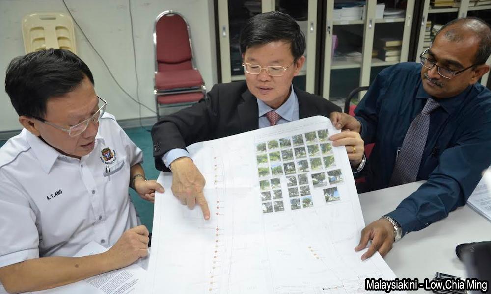 伐树以加宽道路惹来非议<br>曹观友强调兼顾环境交通