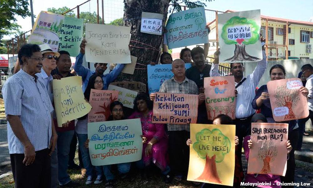 Halt road widening project, tree-hugging activists tell Penang