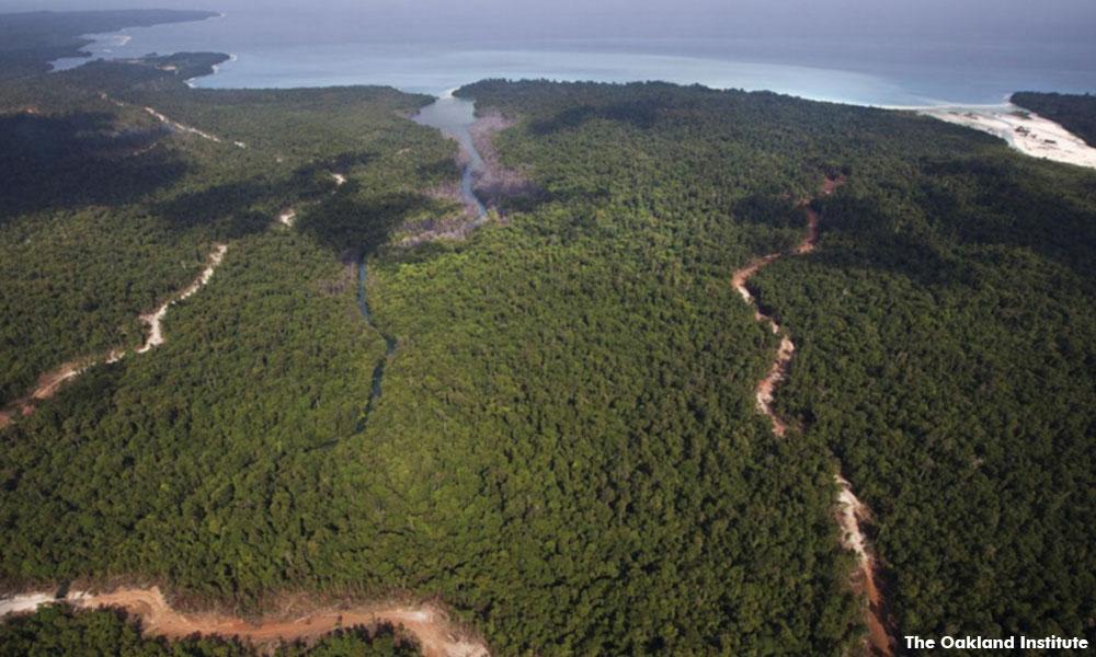 Syarikat berkaitan M'sia cetus kebimbangan pada pribumi Papua New Guinea 1 da77a1d588a250d9c4cca215a2c14104