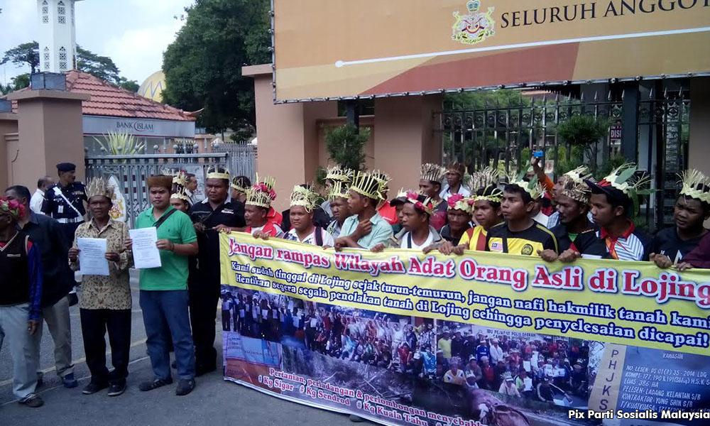 Kelantan losing its forest land to extensive logging