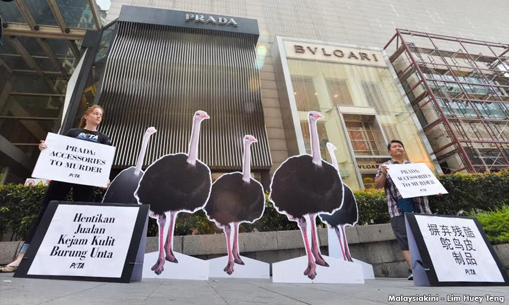 Ditch ostrich skin bags, Peta tells leaders' wives, celebrities