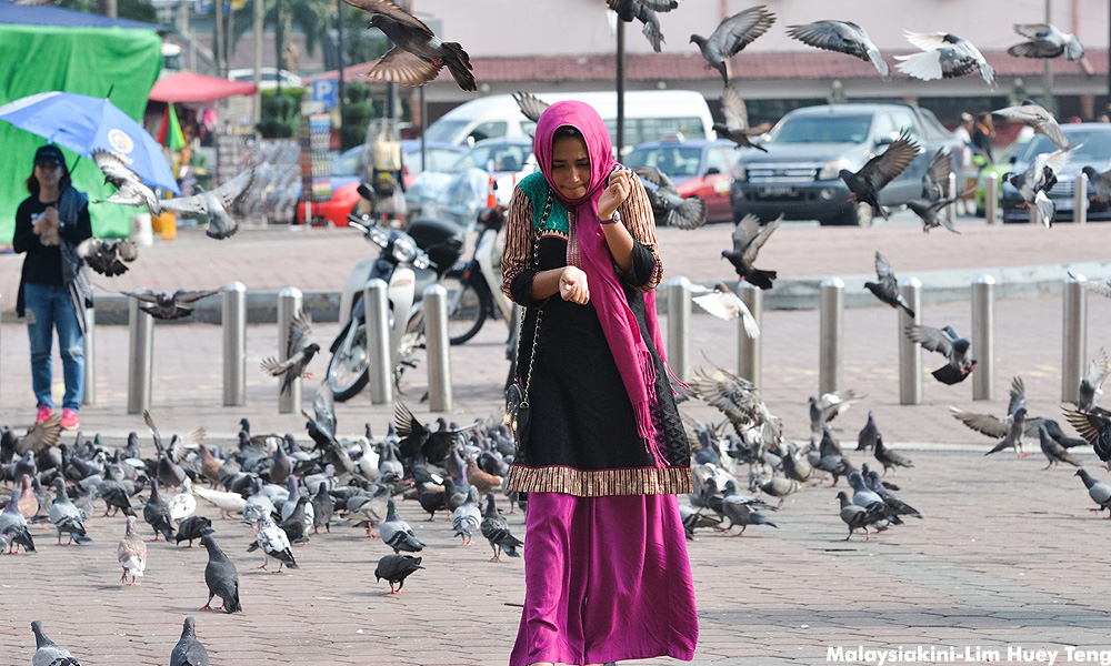 Feeding pigeons could cost you RM250, Penang city council warns