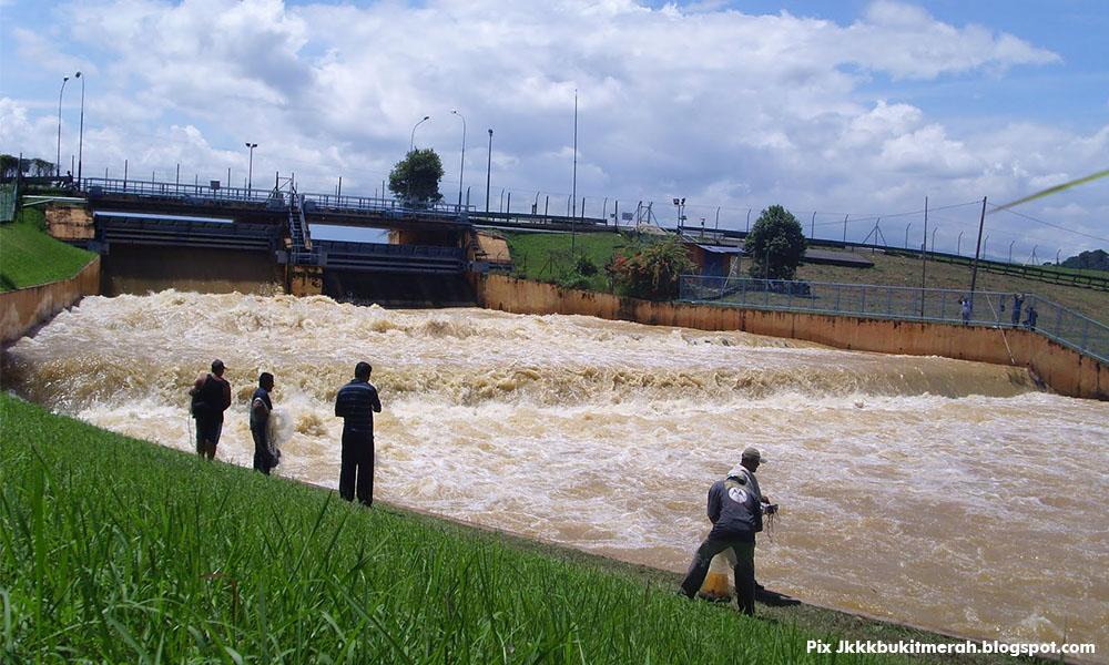 MB: Tiada tolak ansur terhadap penceroboh hutan
